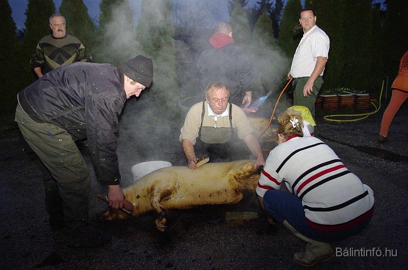 disznovagas_2008_040.jpg
