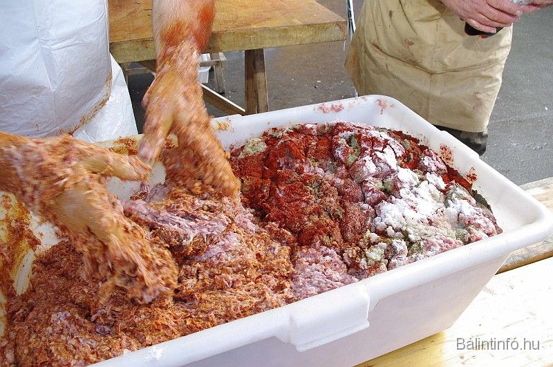 disznovagas_2008_156.jpg