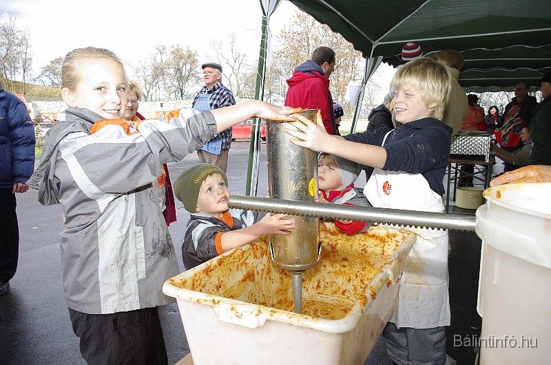 disznovagas_2008_167.jpg