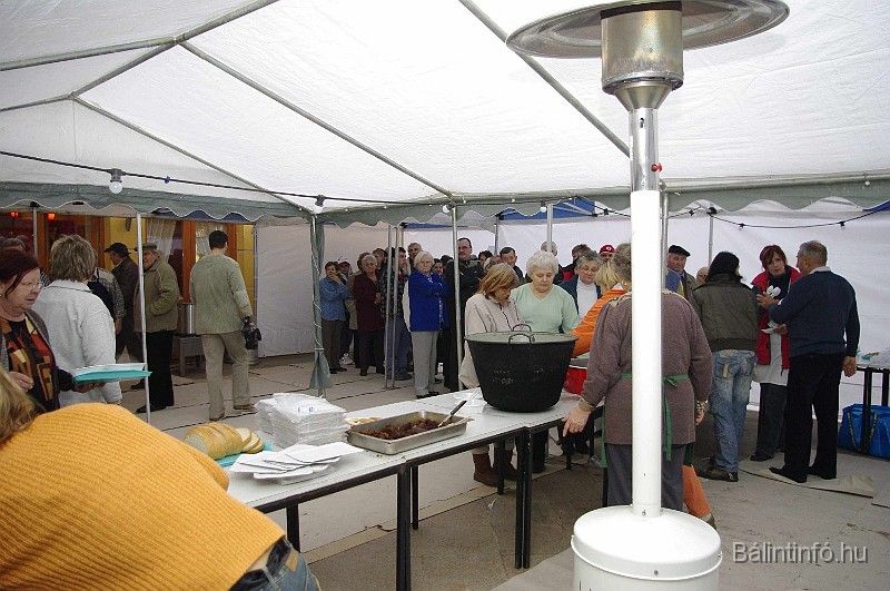 disznovagas_2008_240.jpg