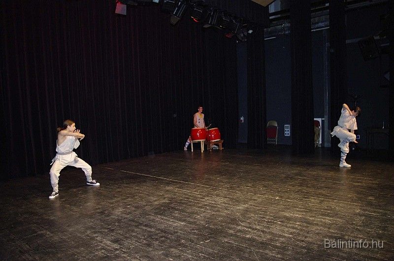 disznovagas_2008_296.jpg