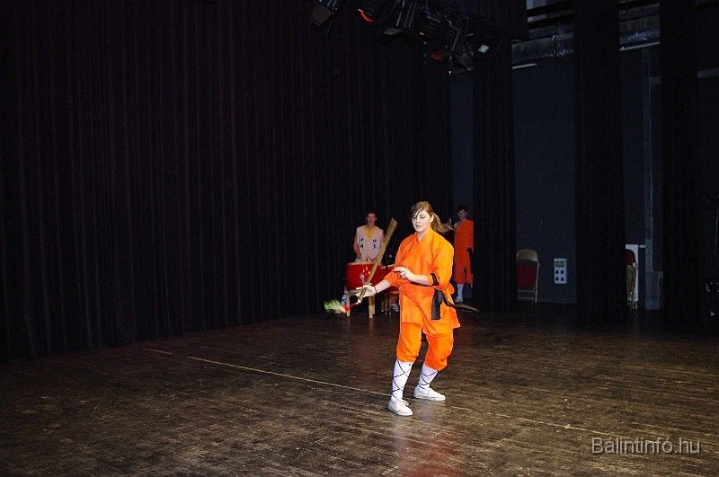 disznovagas_2008_315.jpg