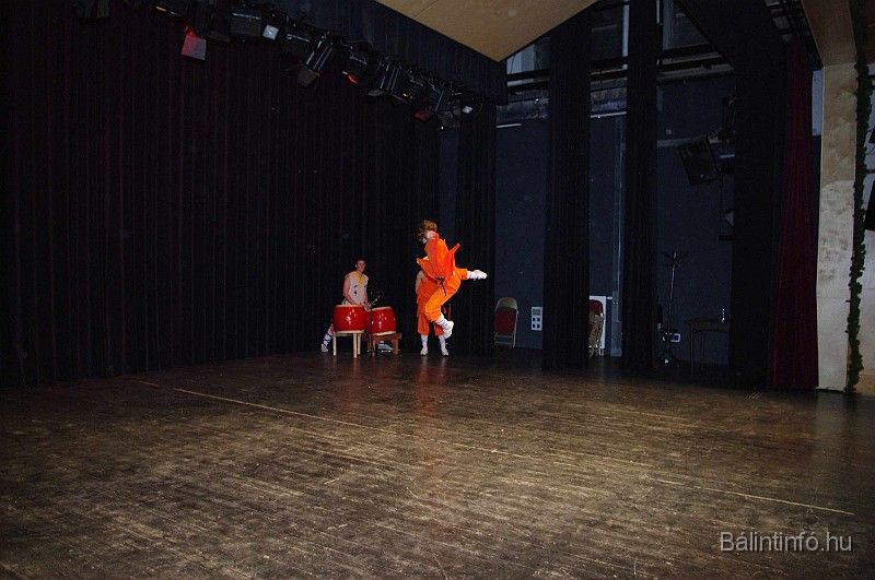 disznovagas_2008_318.jpg