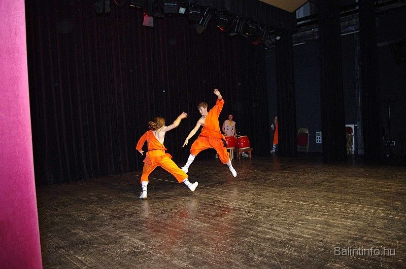 disznovagas_2008_321.jpg