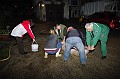 disznovagas_2008_015