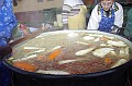 disznovagas_2008_116