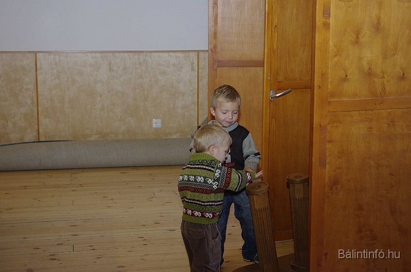 erdelyitanchaz_2008_017.jpg