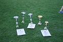 ttc_torokbalint_kupa_2015_153