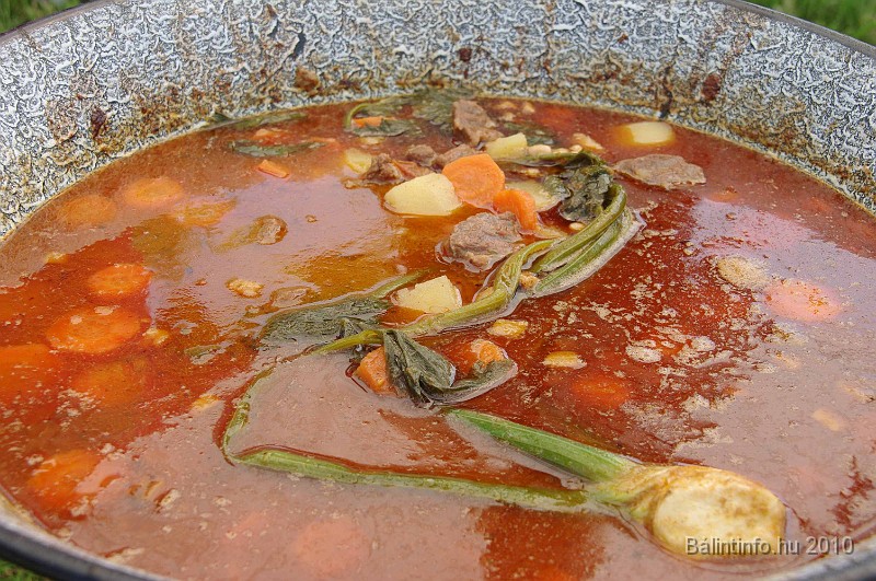balinti_sokadalom_2010_038.jpg