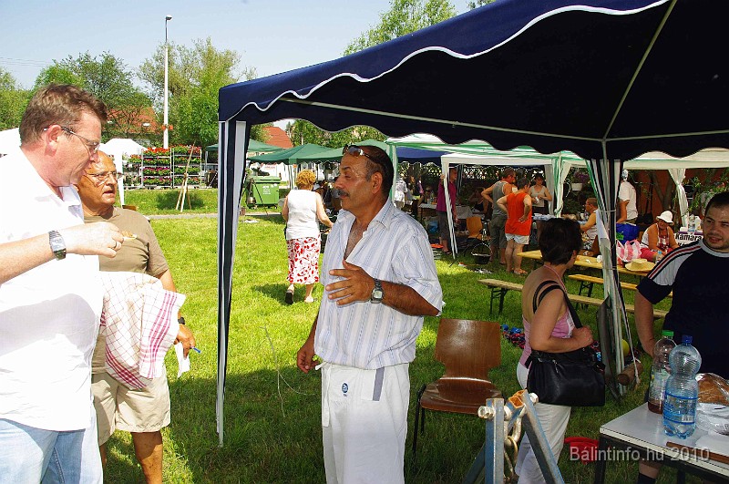 balinti_sokadalom_2010_040.jpg