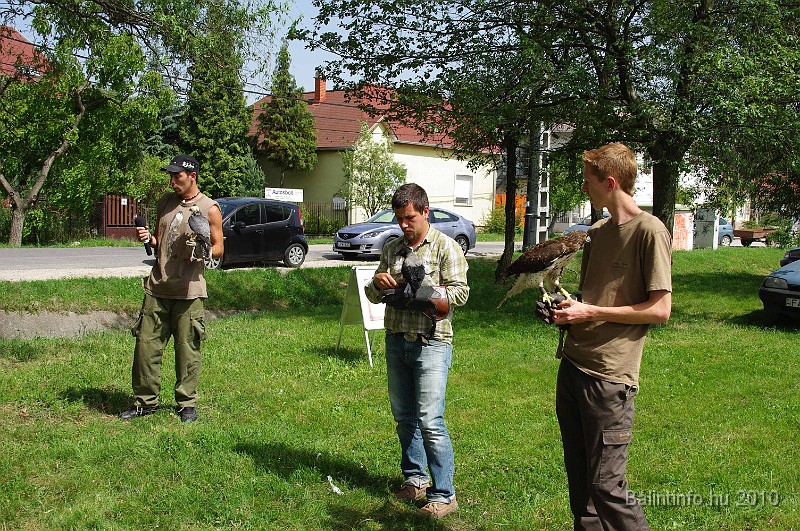 balinti_sokadalom_2010_050.jpg