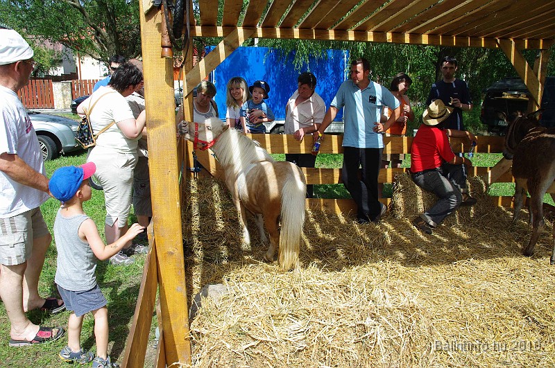 balinti_sokadalom_2010_061.jpg