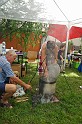 balinti_sokadalom_2010_006