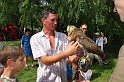 balinti_sokadalom_2010_055