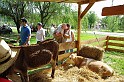 balinti_sokadalom_2010_059