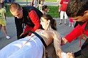 balinti_sokadalom_2010_134