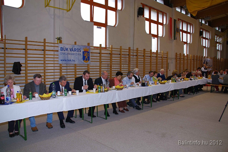 buk-torokbalint_tizeves_evfordulo_2012_156.jpg