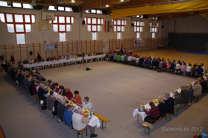 buk-torokbalint_tizeves_evfordulo_2012_159.jpg