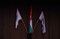 buk-torokbalint_tizeves_evfordulo_2012_297