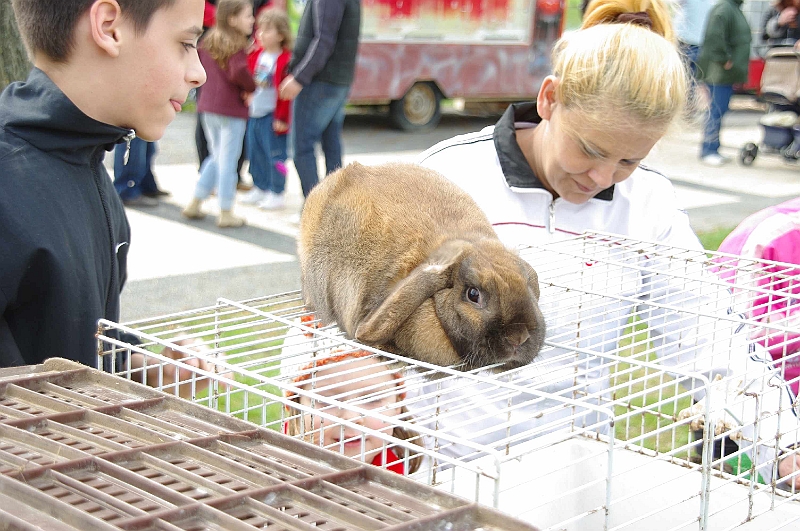 husvet_a_toparkban_2010_017.jpg