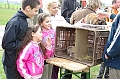 husvet_a_toparkban_2010_015