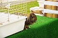 husvet_a_toparkban_2010_018