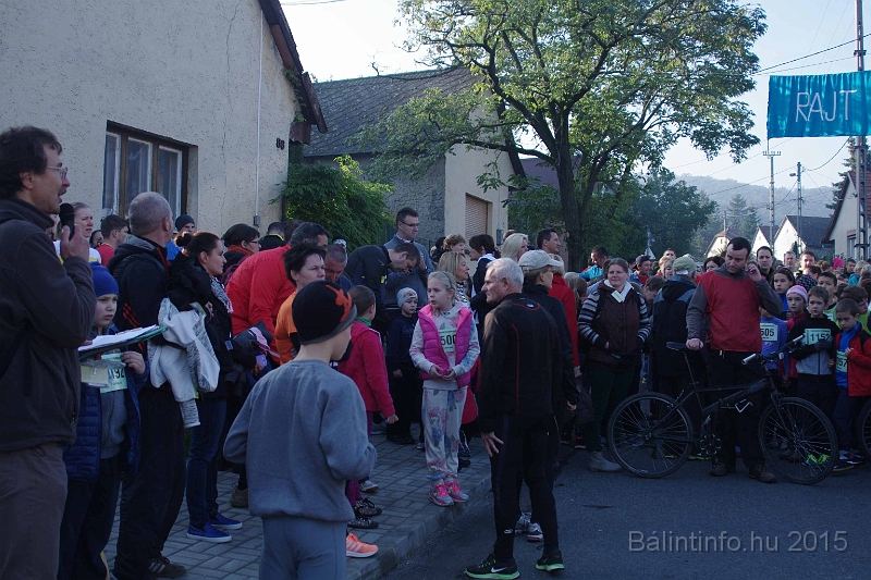 torokbalint_kerekdombfutas_2015_031.jpg