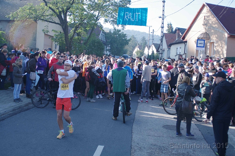 torokbalint_kerekdombfutas_2015_056.jpg
