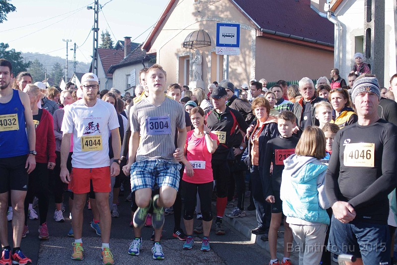 torokbalint_kerekdombfutas_2015_061.jpg
