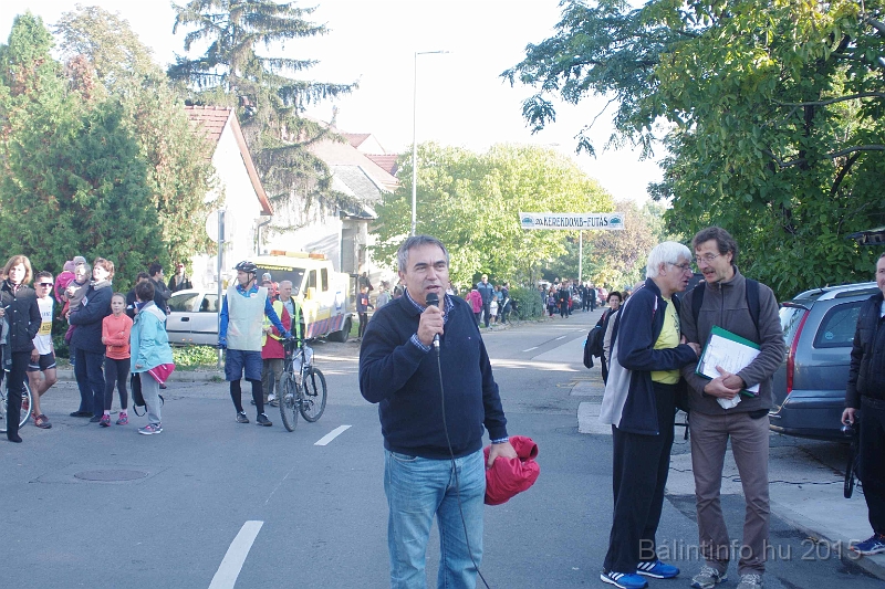 torokbalint_kerekdombfutas_2015_065.jpg