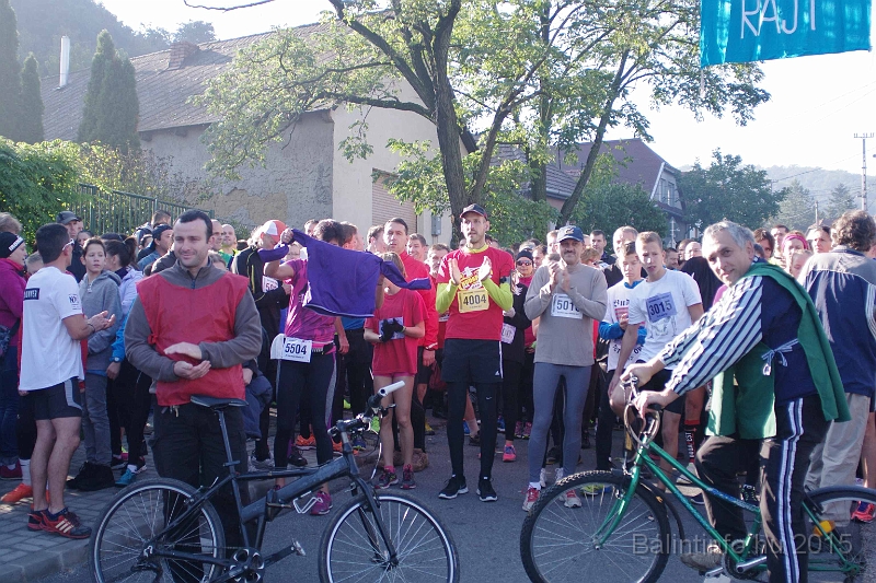 torokbalint_kerekdombfutas_2015_066.jpg