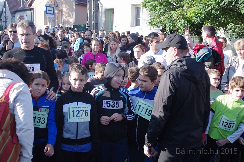 torokbalint_kerekdombfutas_2015_087.jpg