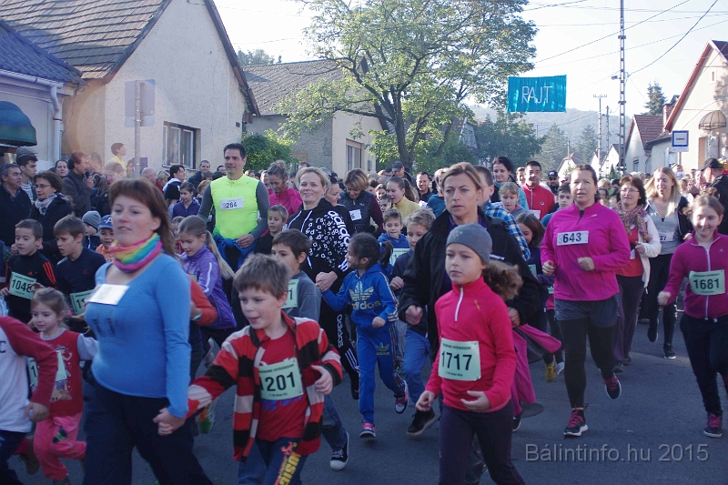 torokbalint_kerekdombfutas_2015_095.jpg