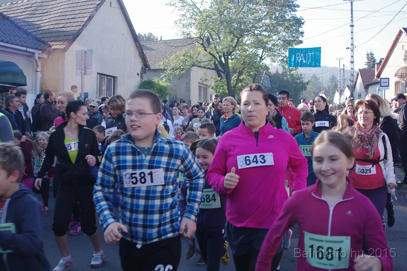 torokbalint_kerekdombfutas_2015_096.jpg