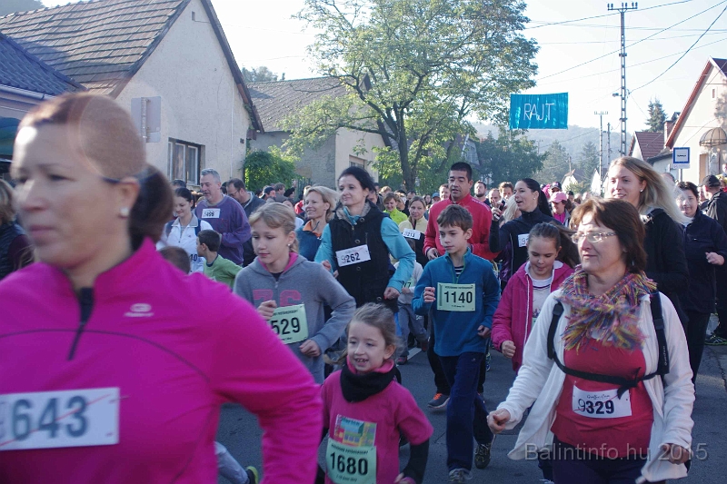 torokbalint_kerekdombfutas_2015_097.jpg