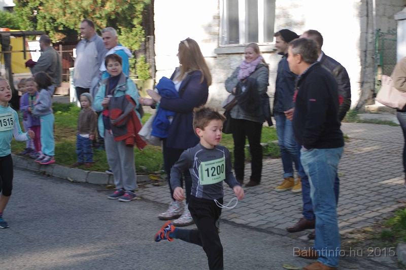 torokbalint_kerekdombfutas_2015_124.jpg
