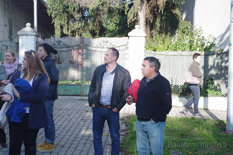 torokbalint_kerekdombfutas_2015_125.jpg