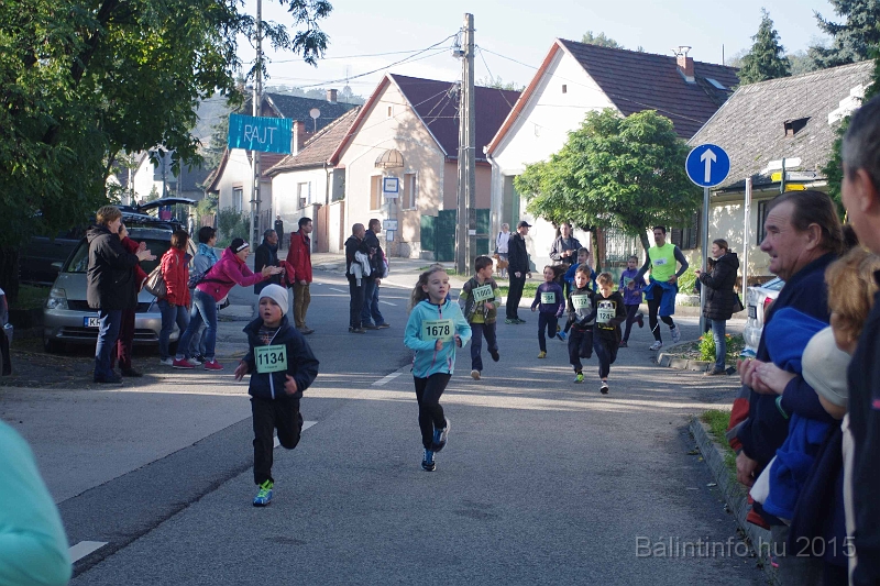 torokbalint_kerekdombfutas_2015_134.jpg