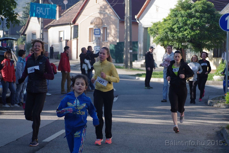 torokbalint_kerekdombfutas_2015_138.jpg