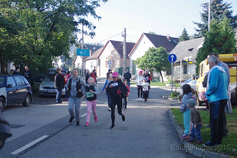 torokbalint_kerekdombfutas_2015_179.jpg