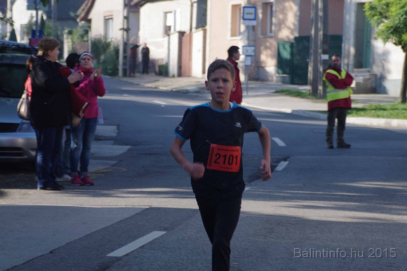 torokbalint_kerekdombfutas_2015_193.jpg