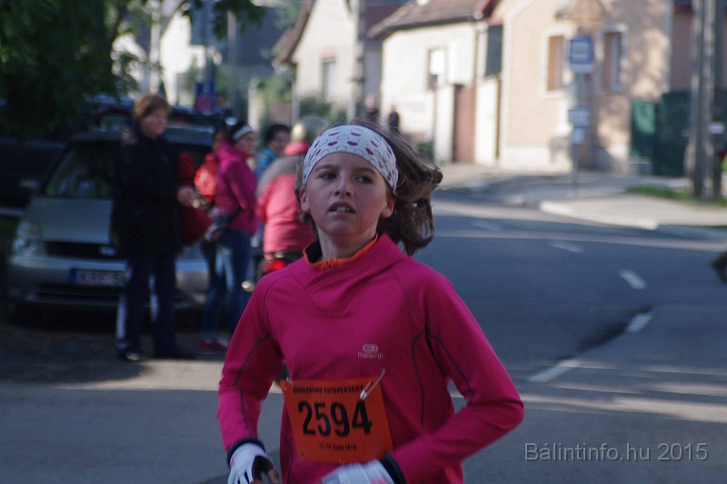 torokbalint_kerekdombfutas_2015_195.jpg