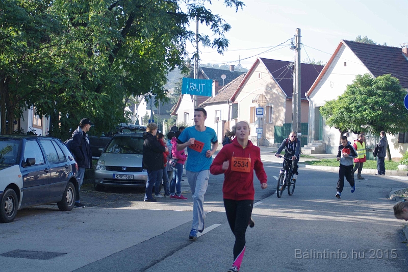 torokbalint_kerekdombfutas_2015_206.jpg