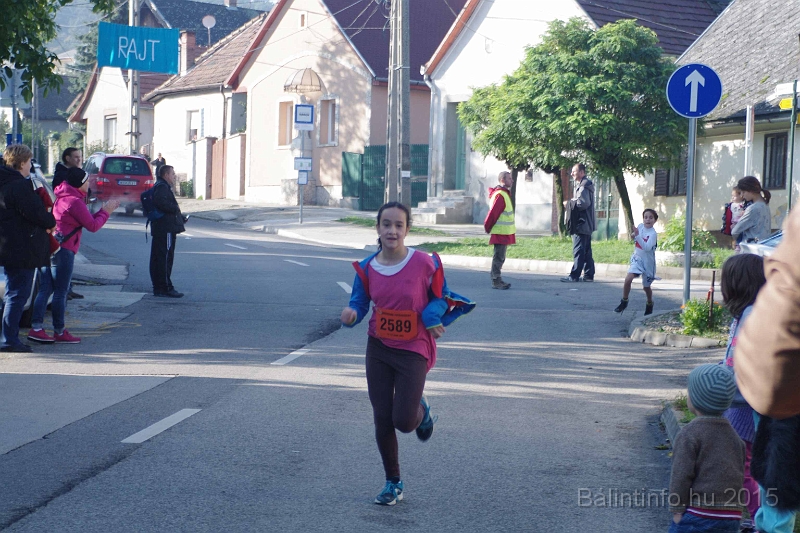 torokbalint_kerekdombfutas_2015_217.jpg