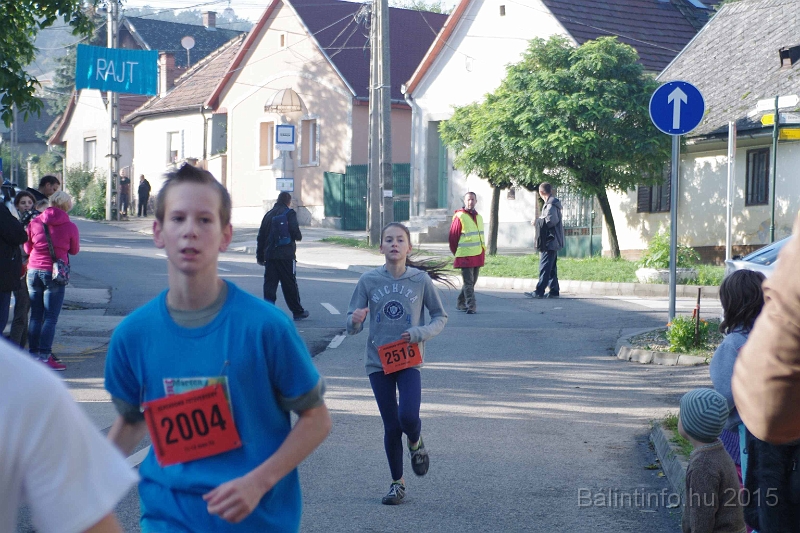 torokbalint_kerekdombfutas_2015_223.jpg