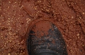 kolontar_adomany_2010_083