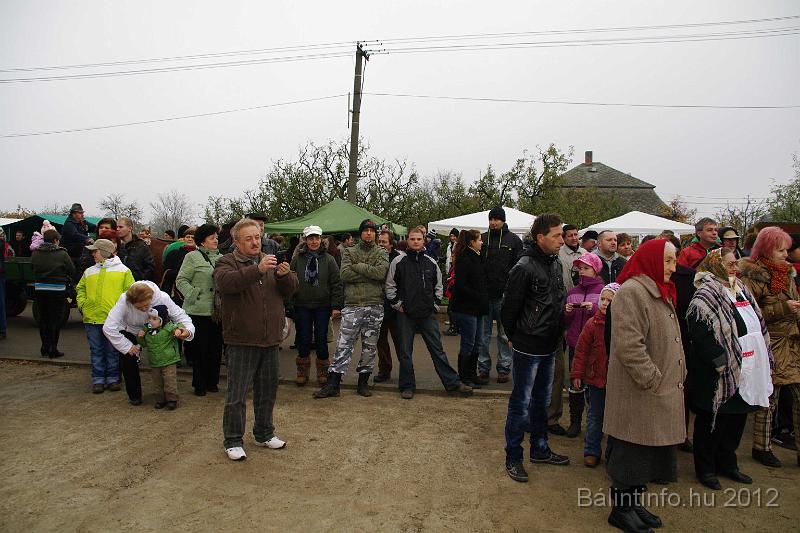 nagytarkany_torokbalint_martonnap_2012_040.jpg
