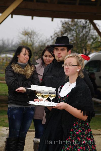 nagytarkany_torokbalint_martonnap_2012_042.jpg