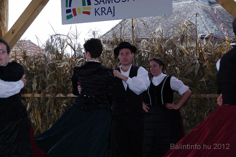 nagytarkany_torokbalint_martonnap_2012_052.jpg