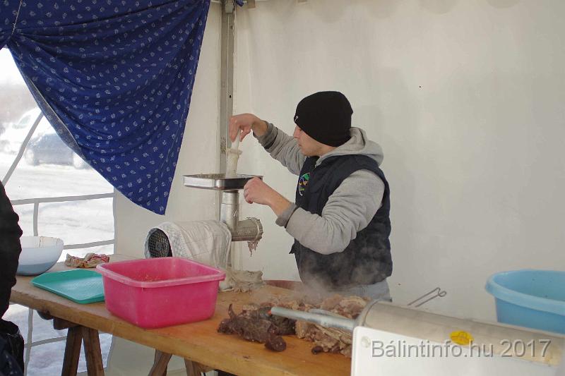 torokbalint_sautanz_fesztival_budakeszi_2017_004.JPG
